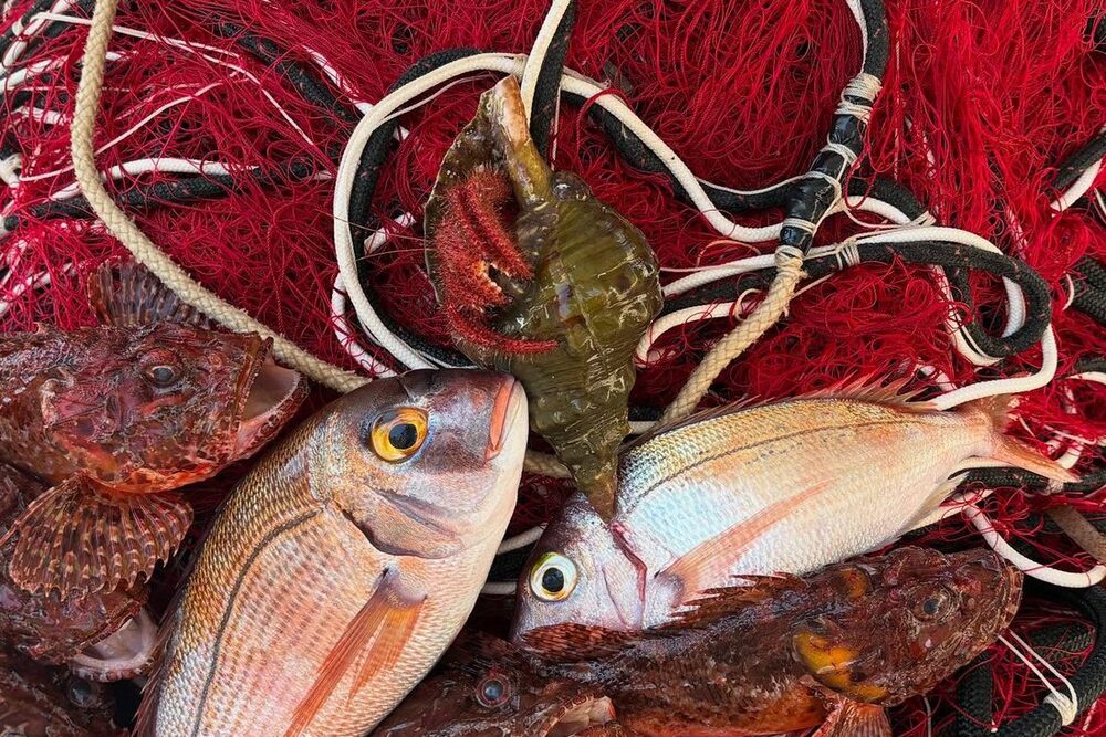 Pesca con le reti a bordo durante l'uscita mattutina